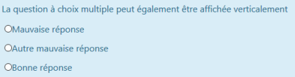 Choix multiple affich&eacute; verticalement